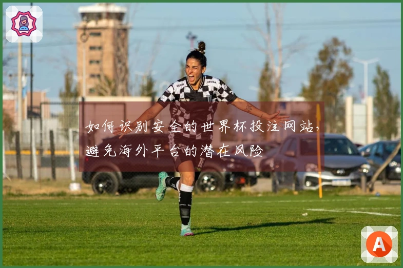 如何识别安全的世界杯投注网站，避免海外平台的潜在风险