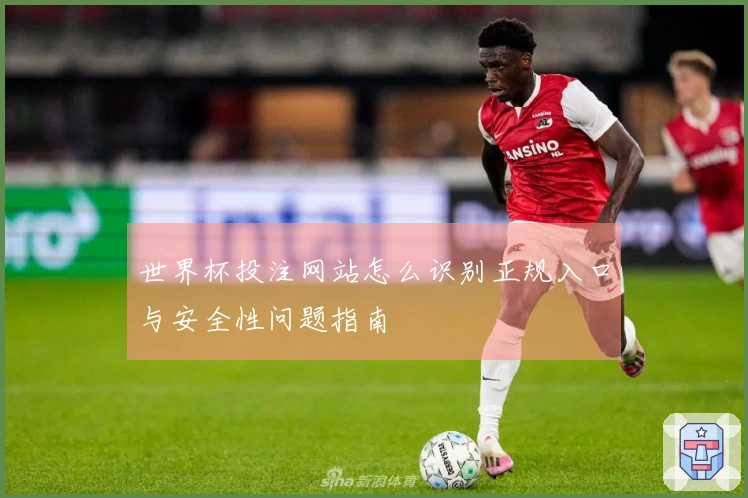 世界杯投注网站怎么识别正规入口与安全性问题指南