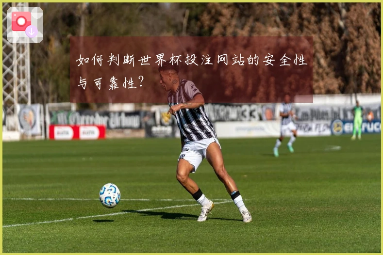 如何判断世界杯投注网站的安全性与可靠性？