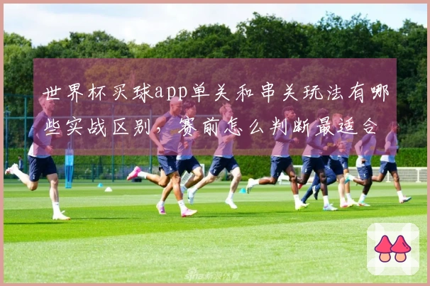 世界杯买球app单关和串关玩法有哪些实战区别，赛前怎么判断最适合自己的投注方式
