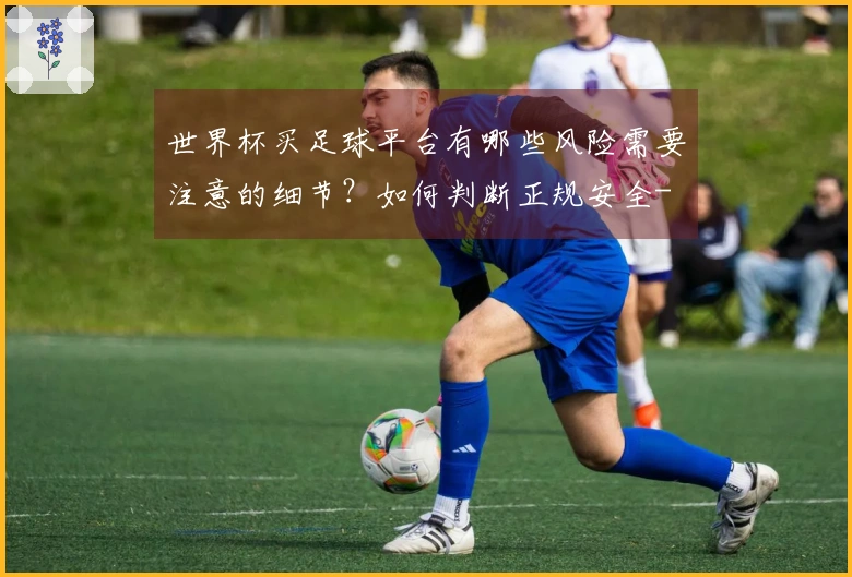 世界杯买足球平台有哪些风险需要注意的细节？如何判断正规安全-